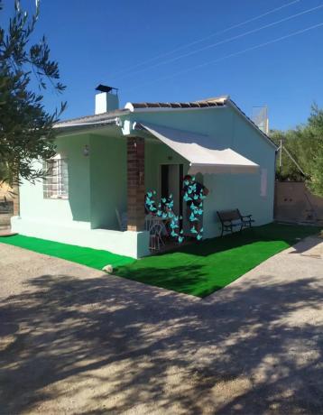 Terreno en camino de viñas