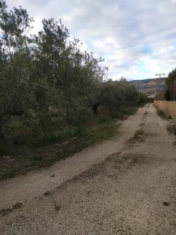 Terreno en camino de viñas