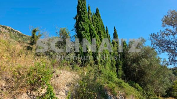 Terreno en Alcalalí