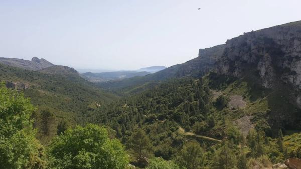 Terreno en Benichembla