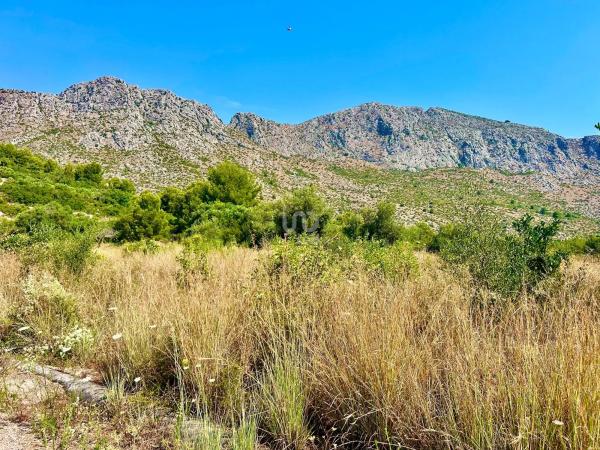 Terreno en Beniarbeig