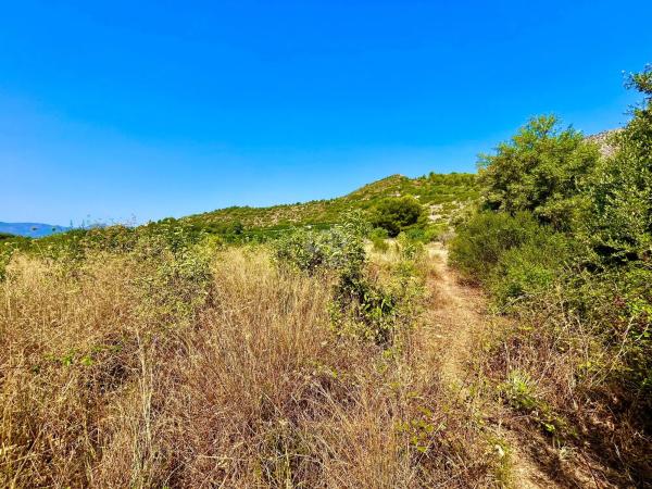 Terreno en Beniarbeig