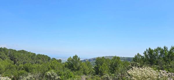 Terreno en Benidoleig