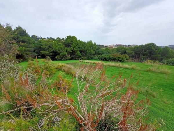 Terreno en Benissa pueblo