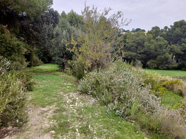Terreno en Benissa pueblo
