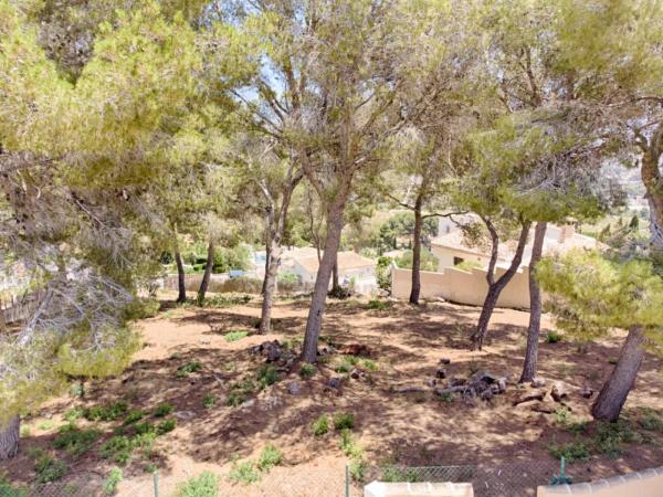 Terreno en Cala Advocat - Baladrar