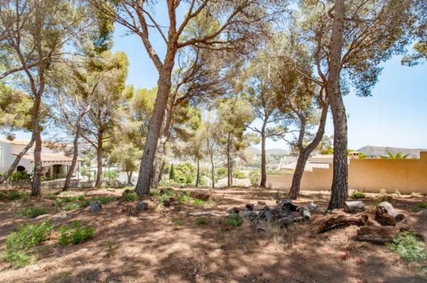 Terreno en Cala Advocat - Baladrar