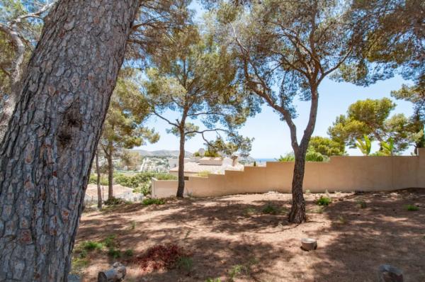 Terreno en Cala Advocat - Baladrar