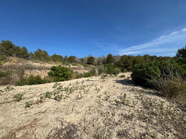 Terreno en Benissa pueblo