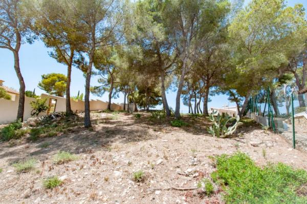 Terreno en Cala Advocat - Baladrar