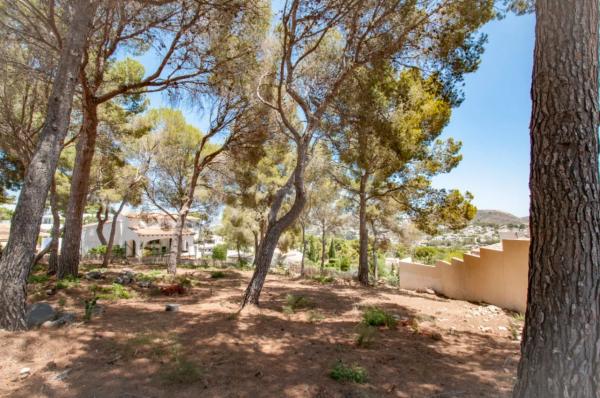 Terreno en Cala Advocat - Baladrar