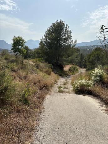 Terreno en camino del Quisi