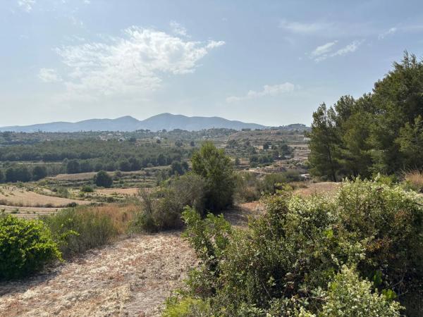 Terreno en camino del Quisi