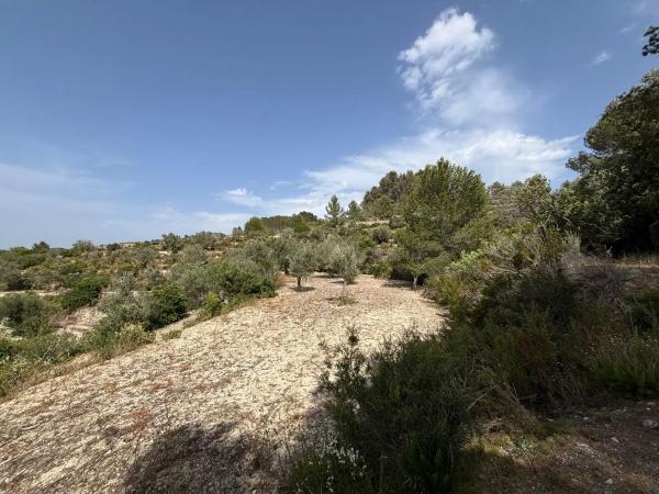 Terreno en camino del Quisi, 35