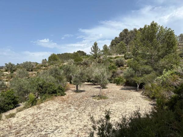 Terreno en camino del Quisi, 35