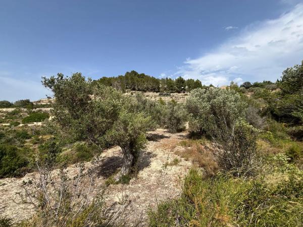 Terreno en camino del Quisi, 35