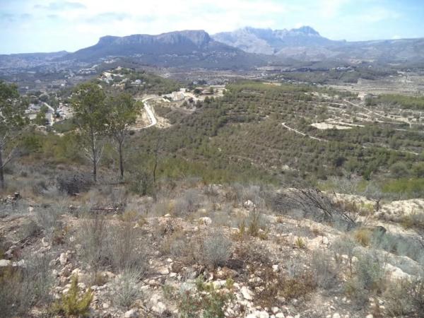 Terreno en La Fustera