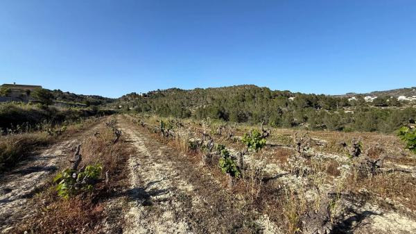 Terreno en Partida Benimarraig