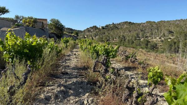 Terreno en Partida Benimarraig