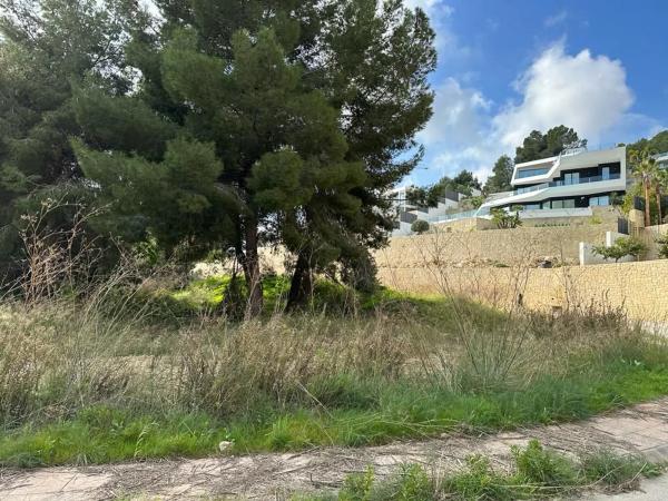 Terreno en calle dels Dorotea, 24