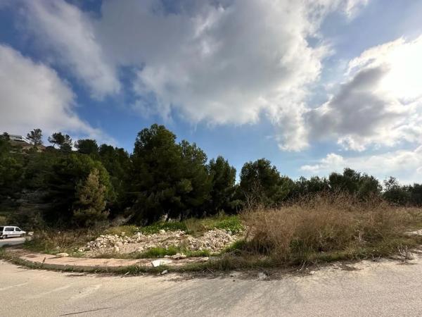 Terreno en calle dels Dorotea, 24