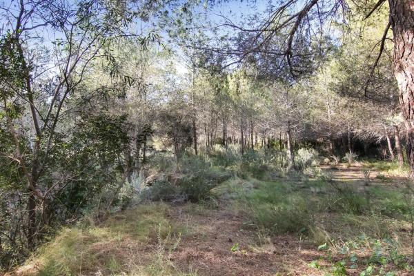 Terreno en La Fustera