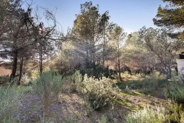 Terreno en La Fustera