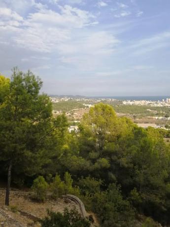 Terreno en Oltamar-Cucarres