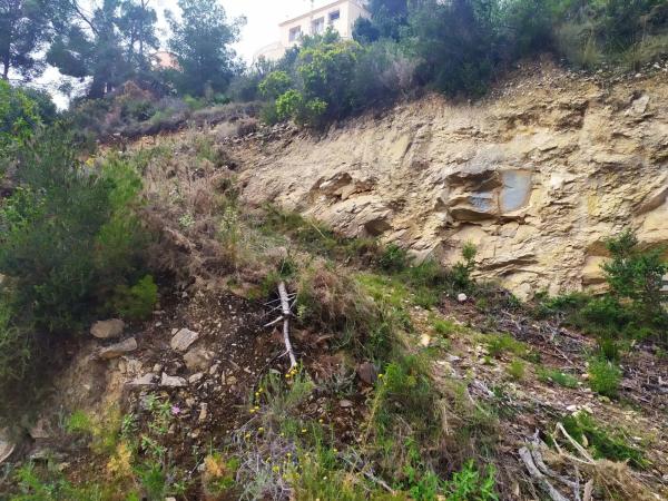 Terreno en Maryvilla