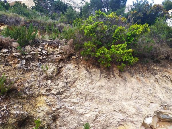 Terreno en Maryvilla