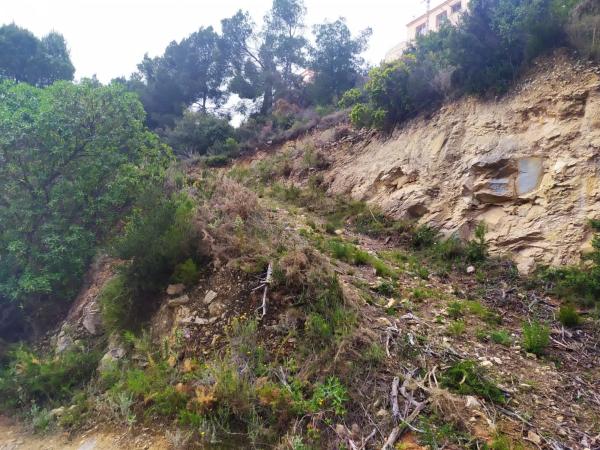 Terreno en Maryvilla