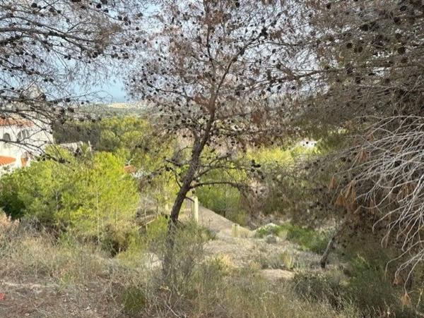 Terreno en Partida Empedrola Sup, 3 k