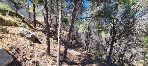 Terreno en Oltamar-Cucarres