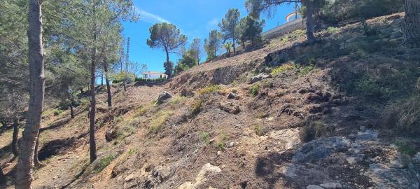 Terreno en Oltamar-Cucarres