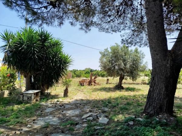 Terreno en El Montgó