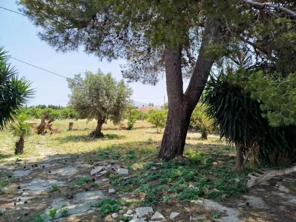 Terreno en El Montgó