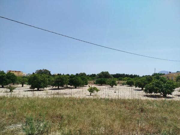 Terreno en El Montgó