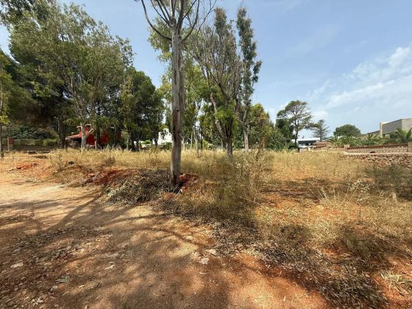 Terreno en Les Rotes/Las Rotas