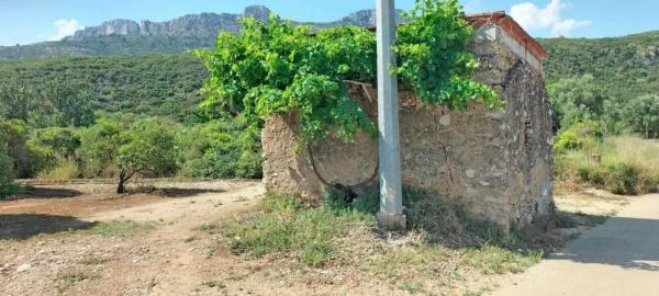 Terreno en Partida Santa Fe, 1