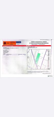 Terreno en camino de Gandia a Dénia s/n