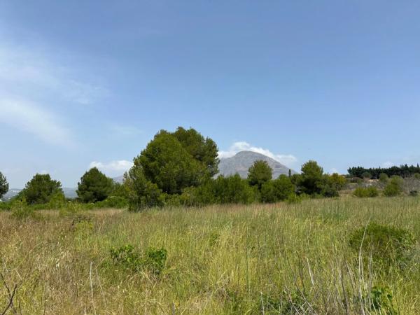 Terreno en Partida Comunes-Adsubia