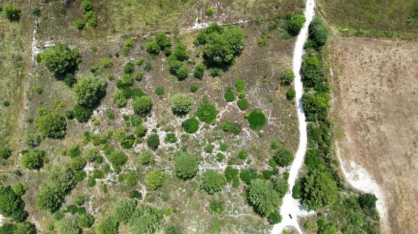 Terreno en Partida Comunes-Adsubia