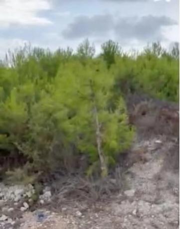 Terreno en Cap Martí - Pinomar