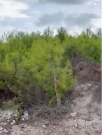 Terreno en Cap Martí - Pinomar