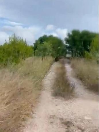 Terreno en Cap Martí - Pinomar