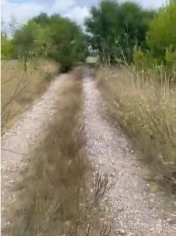 Terreno en Cap Martí - Pinomar