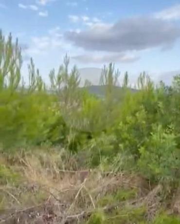 Terreno en Cap Martí - Pinomar