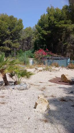 Terreno en Cap Martí - Pinomar