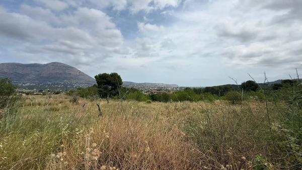 Terreno en calle dels Puig Molins s/n