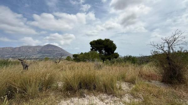 Terreno en calle dels Puig Molins s/n